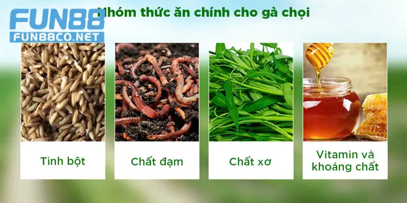 Các thành phần tự nhiên trong thuốc đá gà Energen 