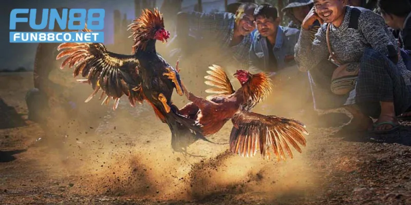 Khoảnh khắc ra đòn chí mạng 